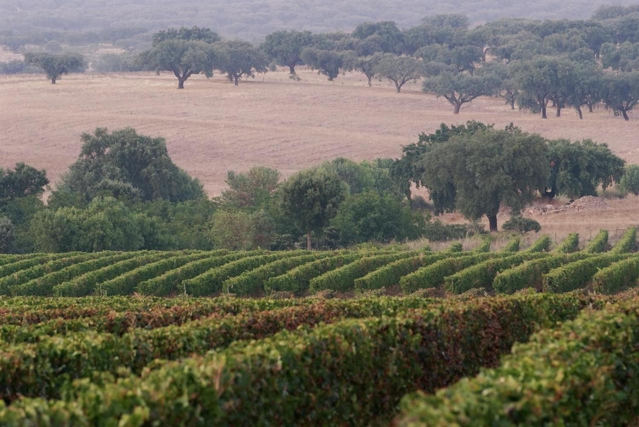 Monte Dos 2 Tanques Villa Estremoz Ngoại thất bức ảnh